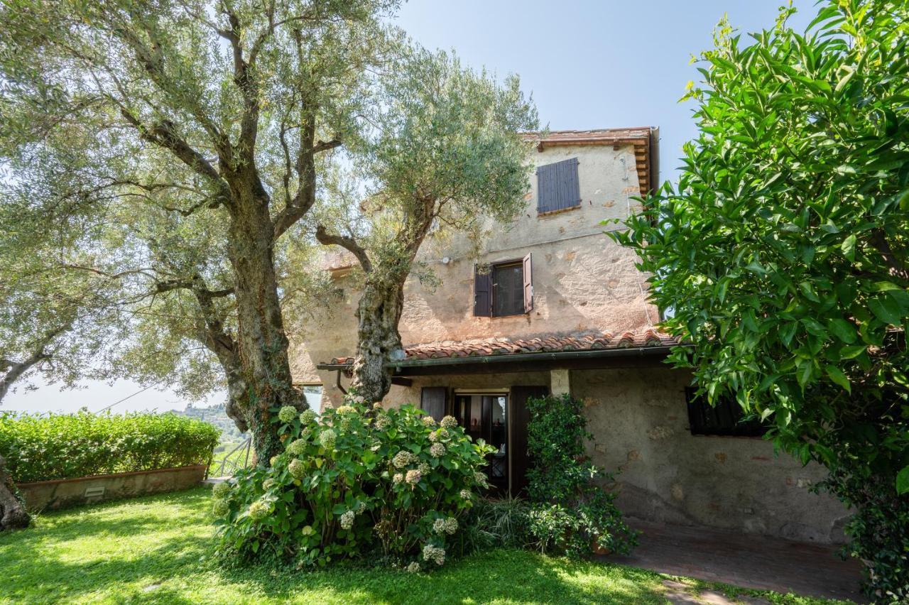 Villa Eden Forte Dei Marmi With Private Infinity Pool Santa Lucia  Exterior photo