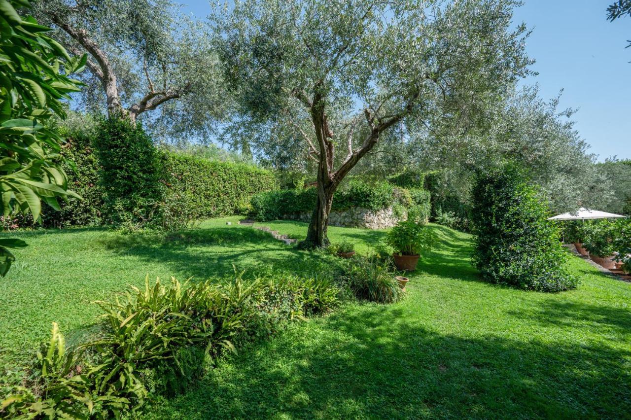 Villa Eden Forte Dei Marmi With Private Infinity Pool Santa Lucia  Exterior photo
