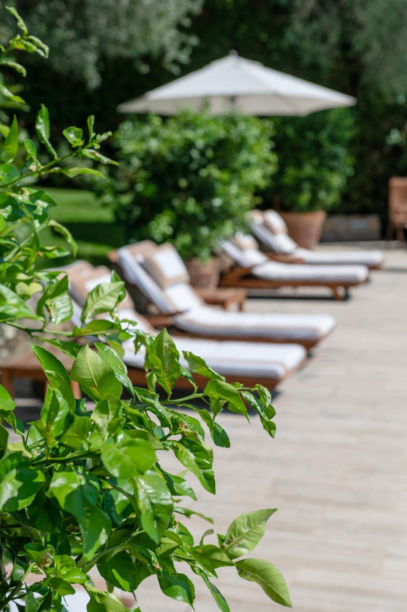 Villa Eden Forte Dei Marmi With Private Infinity Pool Santa Lucia  Exterior photo