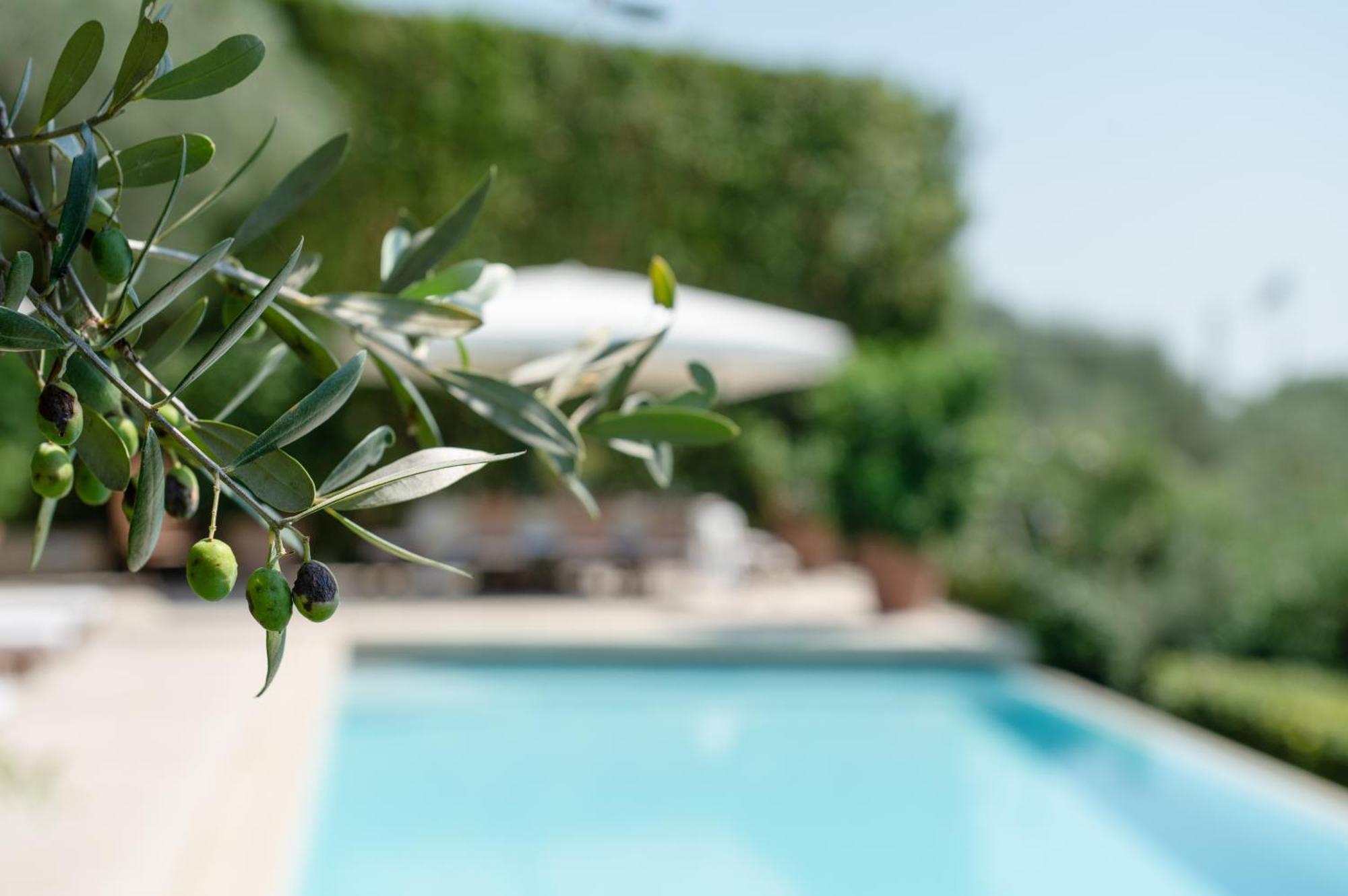 Villa Eden Forte Dei Marmi With Private Infinity Pool Santa Lucia  Exterior photo