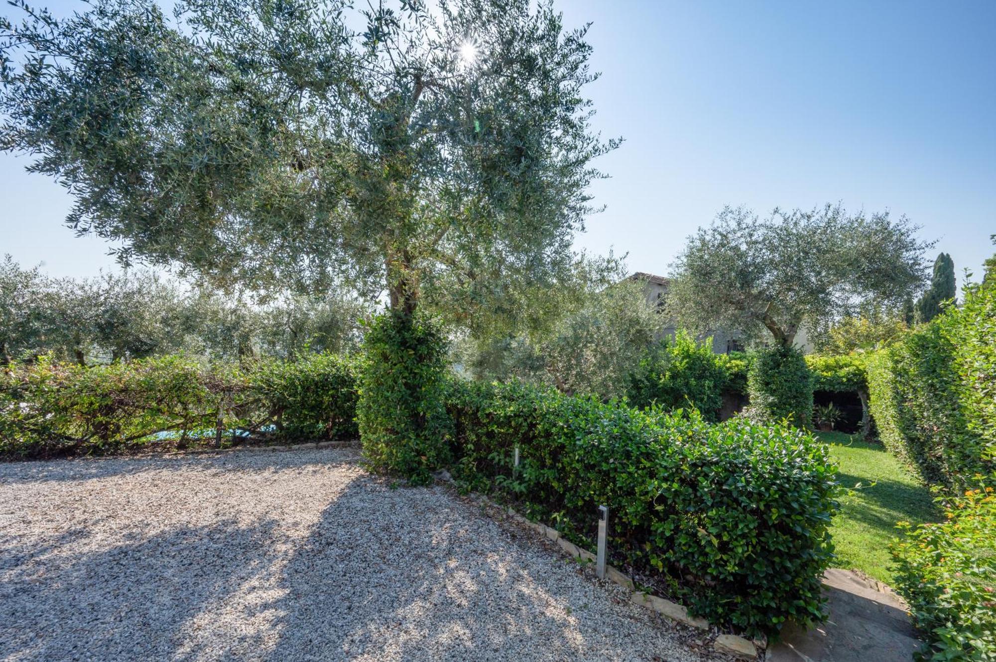 Villa Eden Forte Dei Marmi With Private Infinity Pool Santa Lucia  Exterior photo